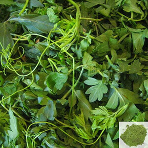 Mudakaruthan / Balloon Plant Powder