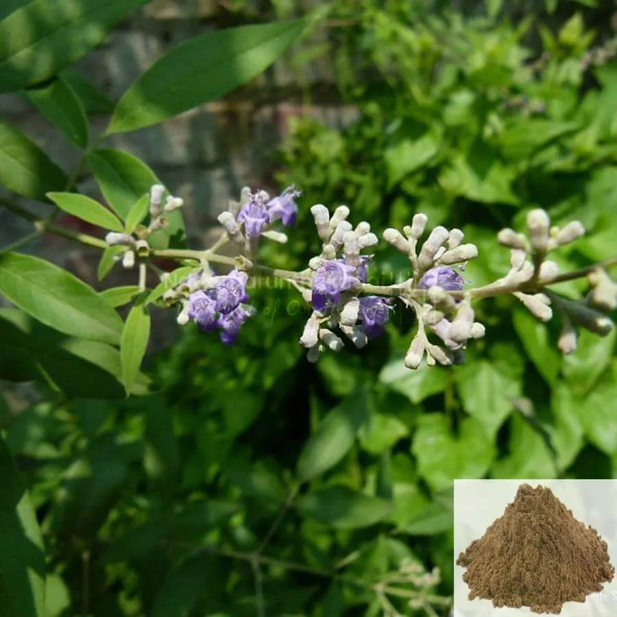 Nochi / Chinese Chastetree Powder