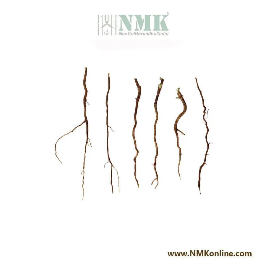 Keezhanelli Ver / Country Gooseberry Root Dried (Raw)