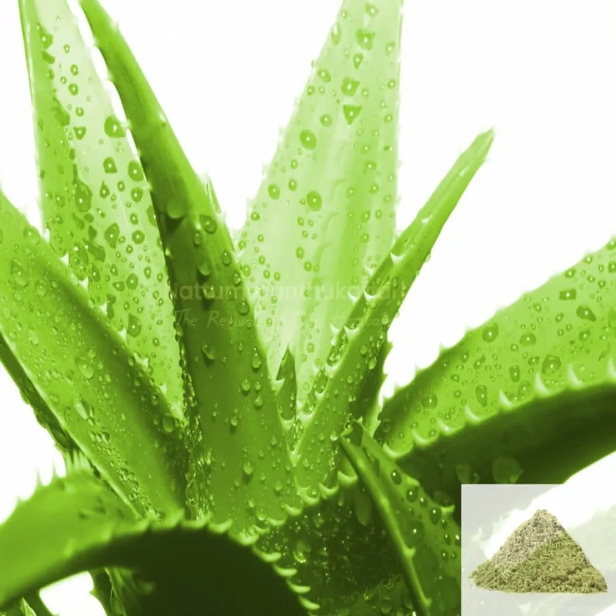 Sothu Katralai Powder/ Aloevera Powder