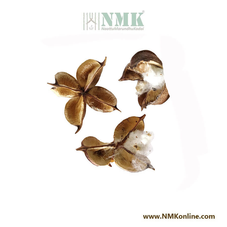 Paruthi / common cotton Dried (Raw)