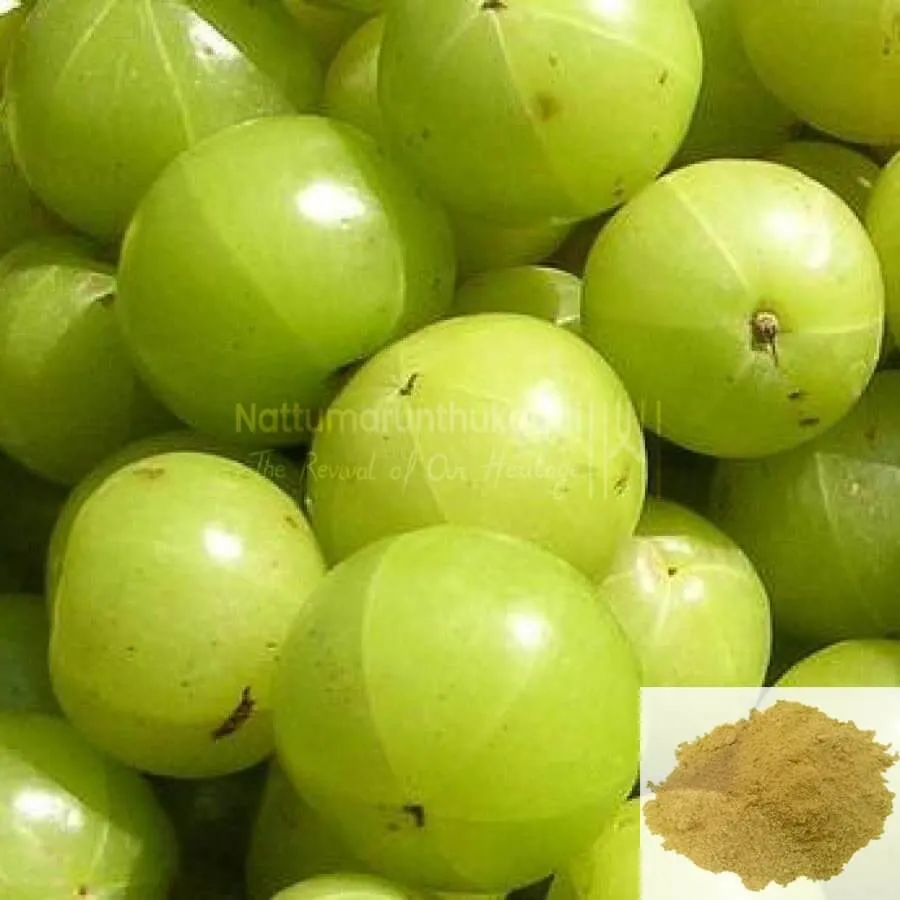 Nelli Powder / Indian Gooseberry Powder