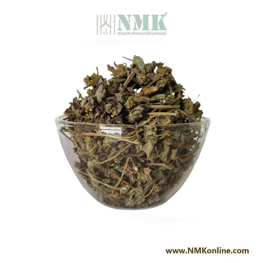 Amman Pacharisi / Snake Weed (Raw)