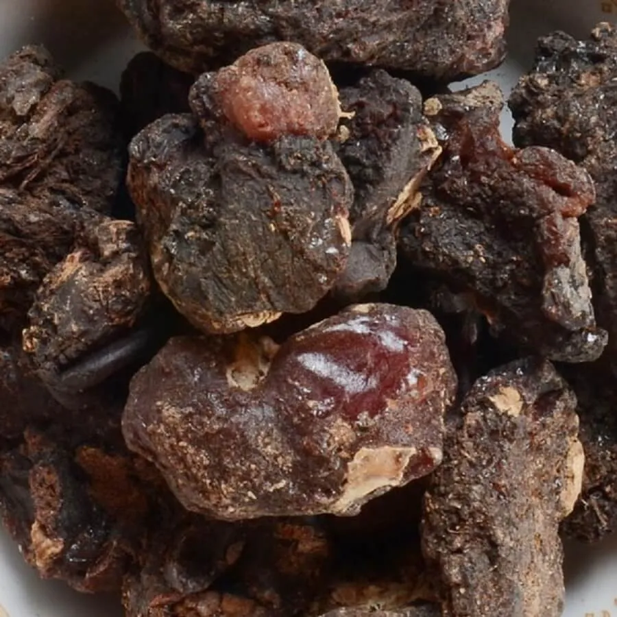 Murungai Pisin / Drumstick Tree Resin (Raw)
