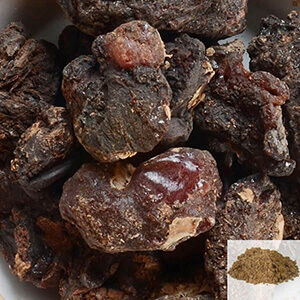 Murungai Pisin / Drumstick Tree Resin Powder