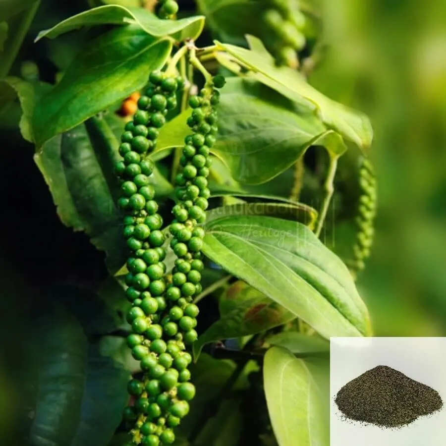 Kuru Milagu / Pepper Dried (Raw)